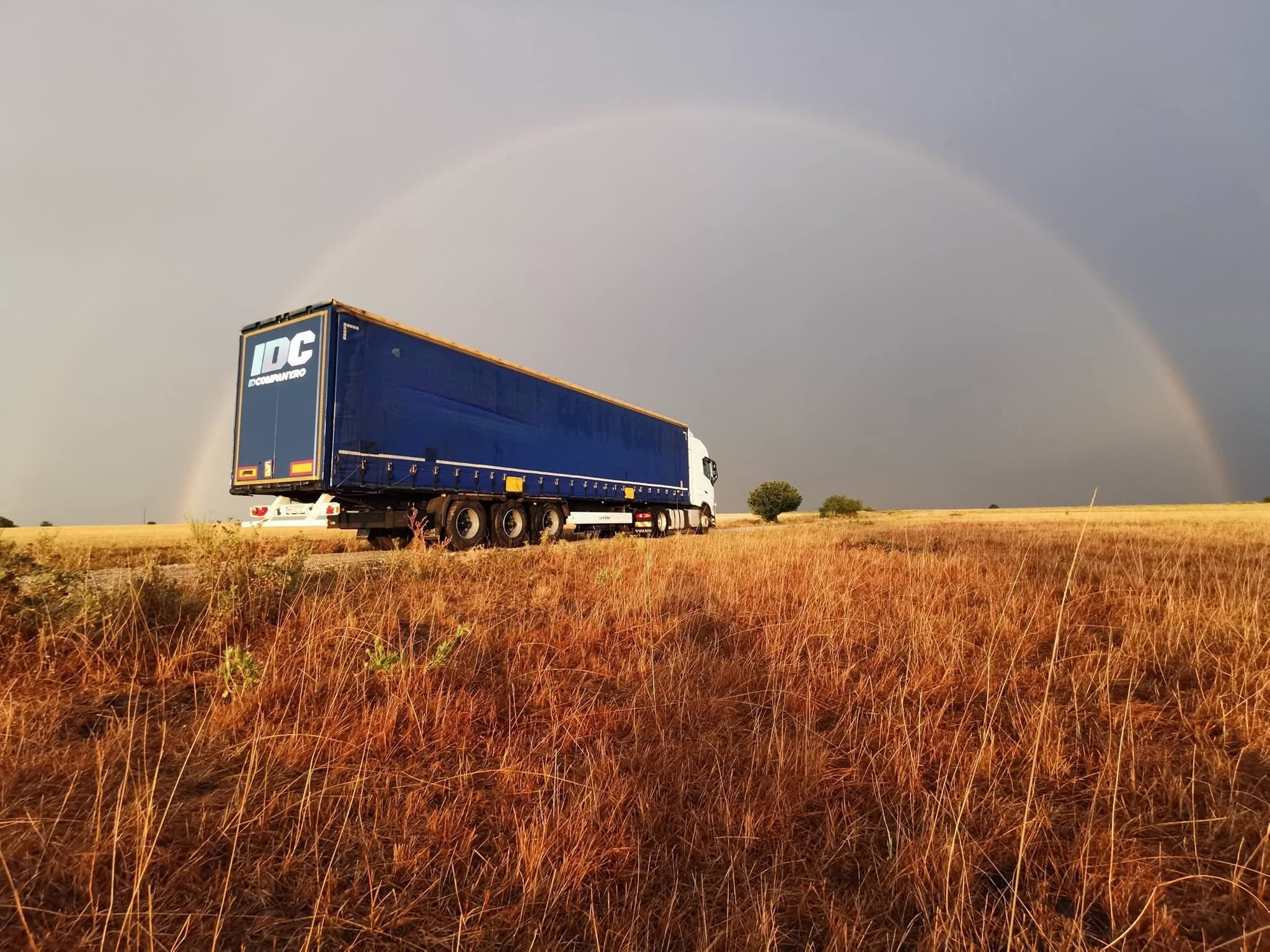 Servicii de transport intern